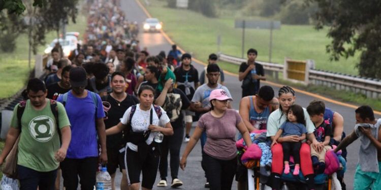 Más del 50 % de migrantes sufrió abusos en su ruta hacia México en 2024